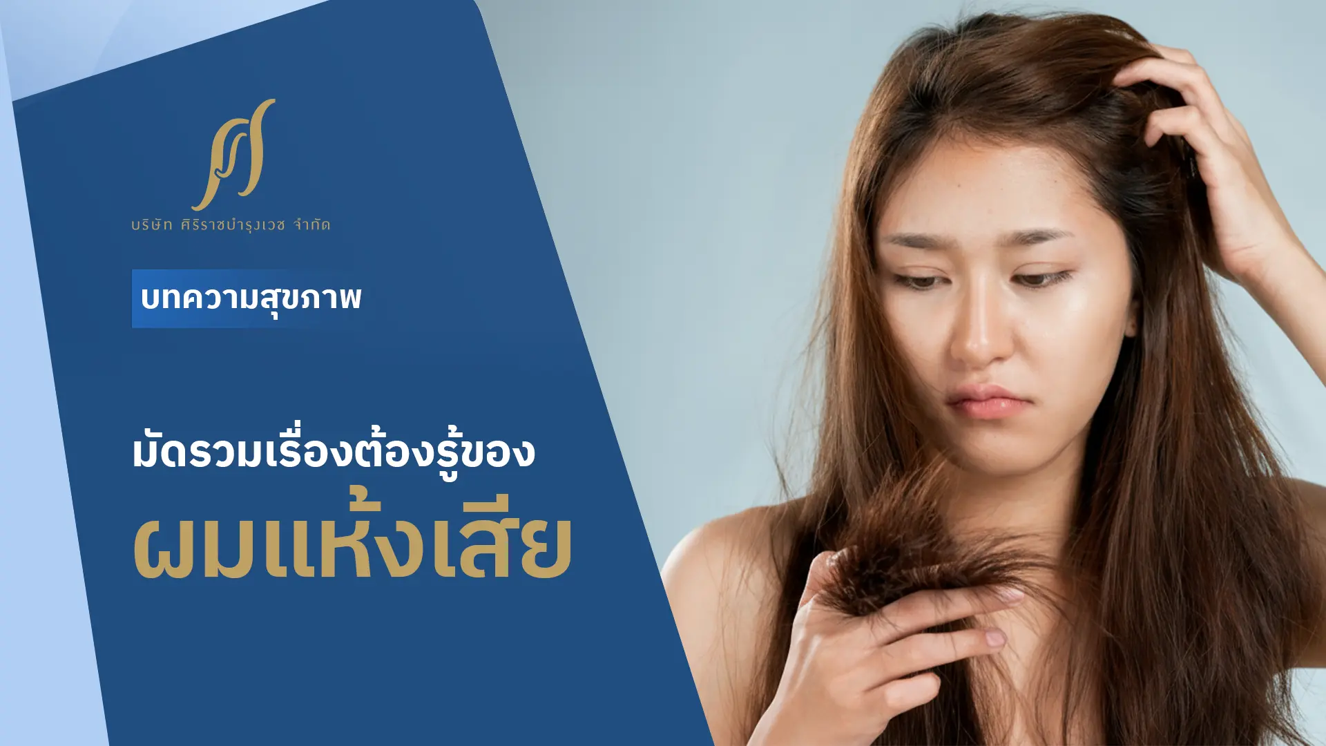 มัดรวมเรื่องต้องรู้ของ “ผมแห้งเสีย”