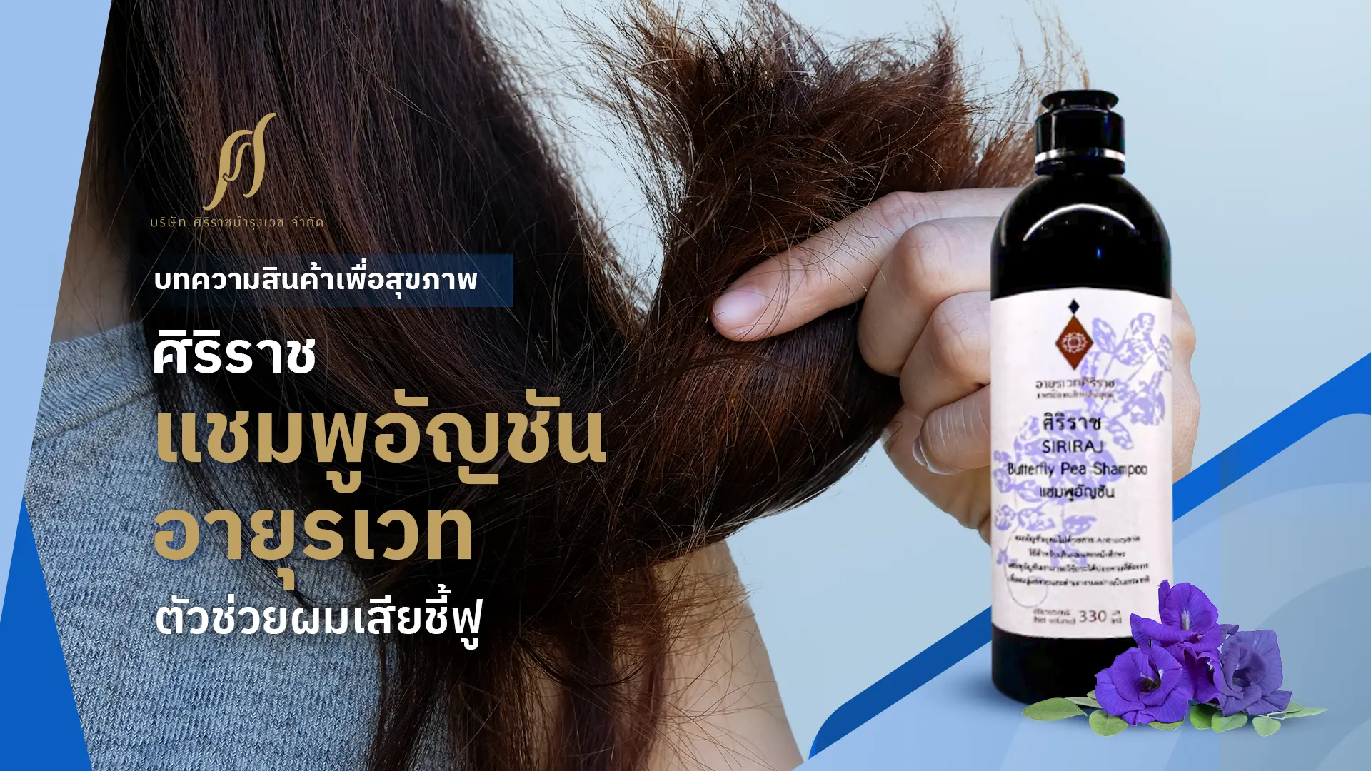 ศิริราช แชมพูอัญชัน อายุรเวท แชมพูผมนุ่ม ตัวช่วยผมเสียชี้ฟู