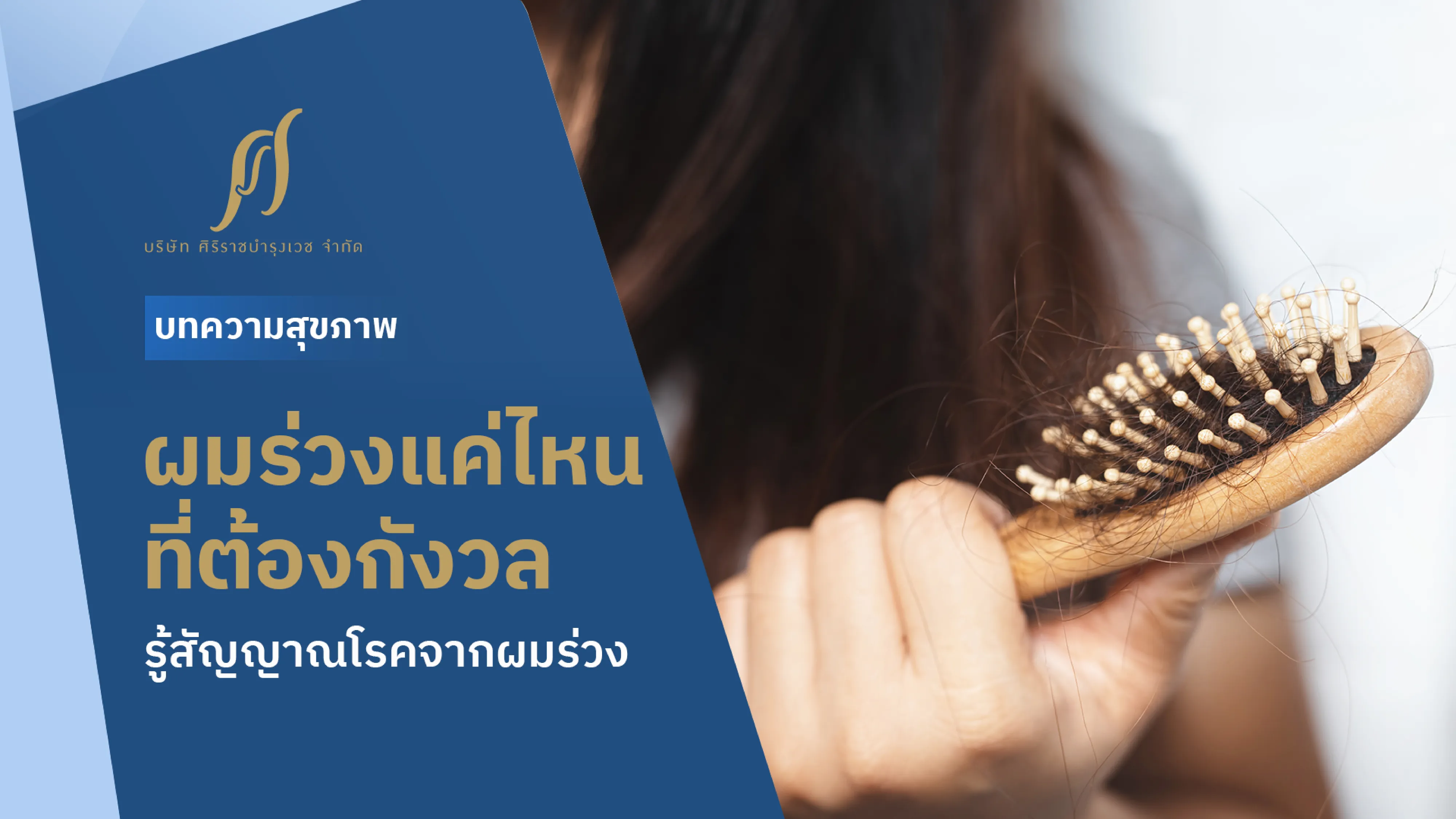 ผมร่วงเยอะมากแค่ไหนที่ต้องกังวล ? รู้จักสัญญาณโรคที่มากับอาการผมร่วง