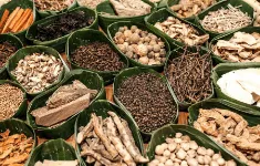 ‘สมุนไพร’ ยอดฮิตจากทั่วโลก แนะไทยศึกษาวิจัยสู่เชิงพาณิชย์