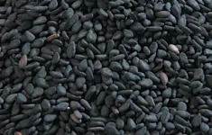 งาดำ Black Sesame Seed