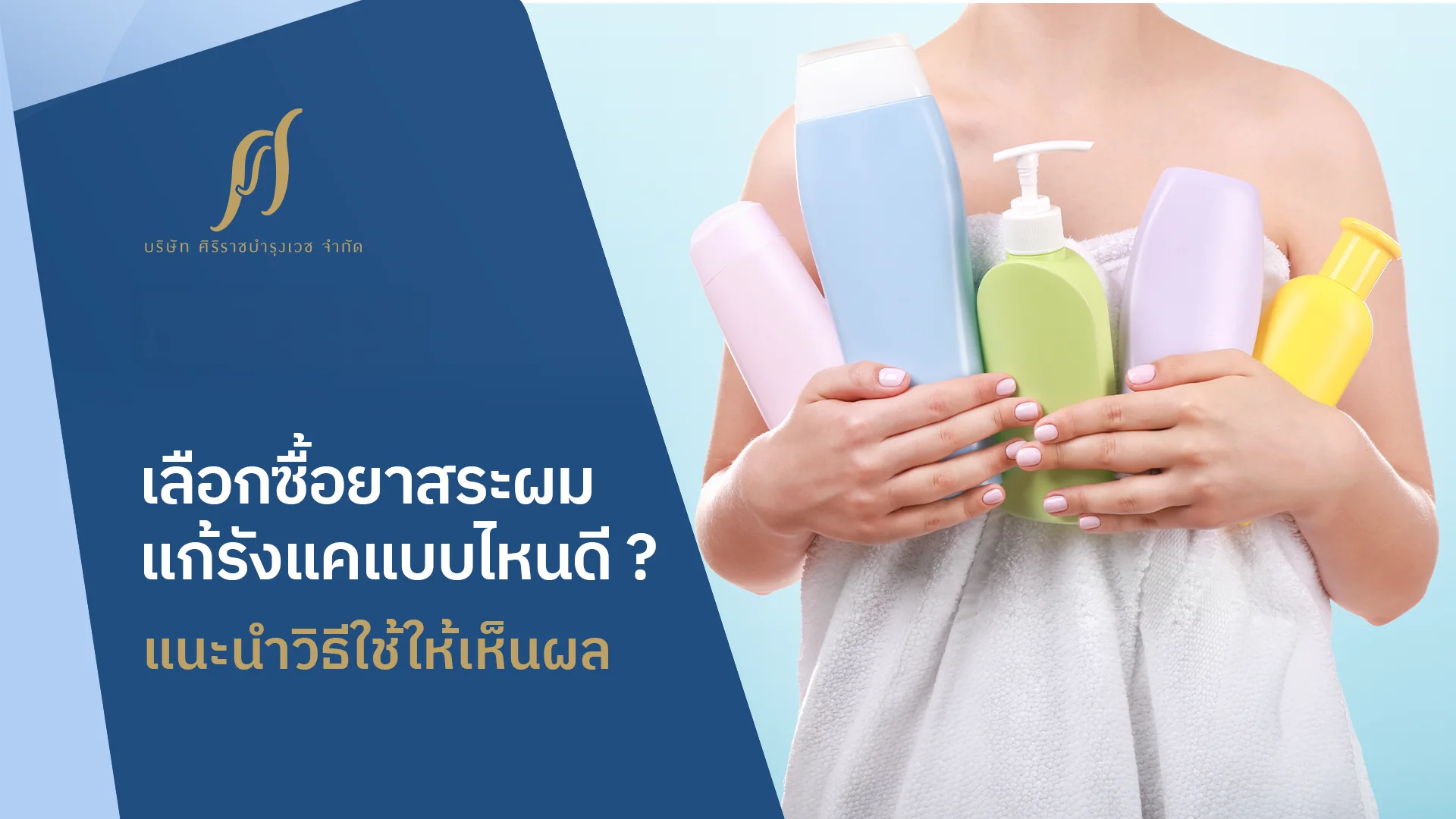 เลือกซื้อยาสระผมแก้รังแคแบบไหนดี ซื้อได้ที่ไหน พร้อมแนะนำวิธีใช้ให้เห็นผลลัพธ์